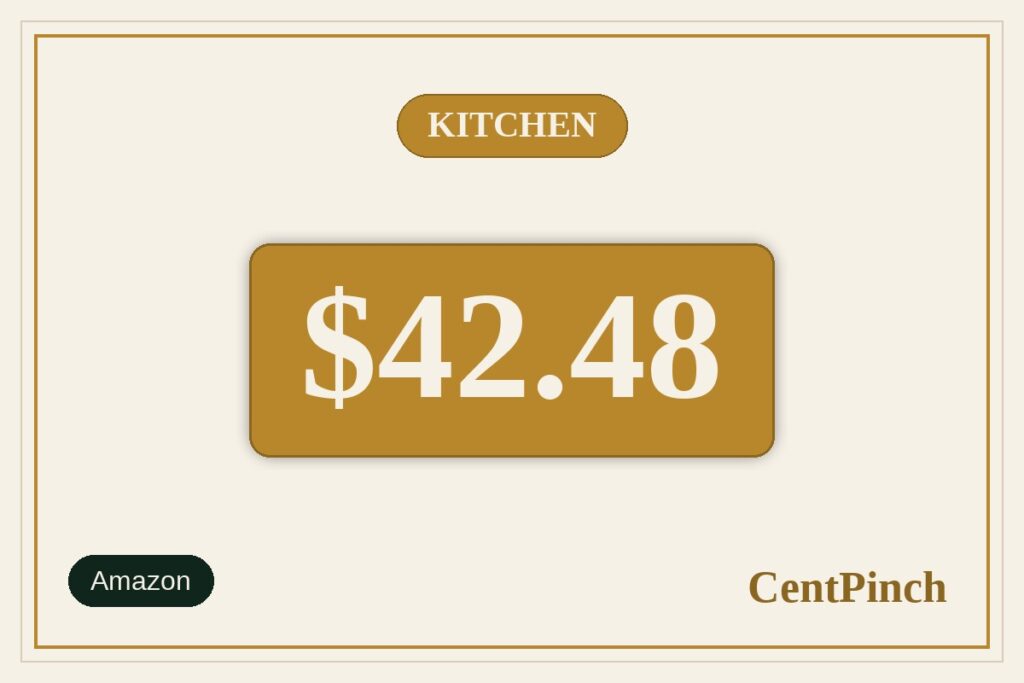 2-Quart Mini Air Fryer with Digital Controls